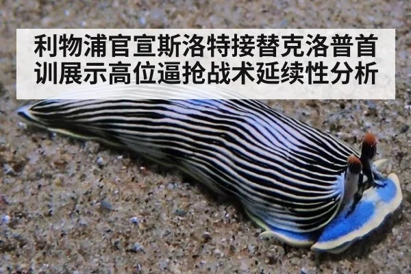 利物浦官宣斯洛特接替克洛普首训展示高位逼抢战术延续性分析